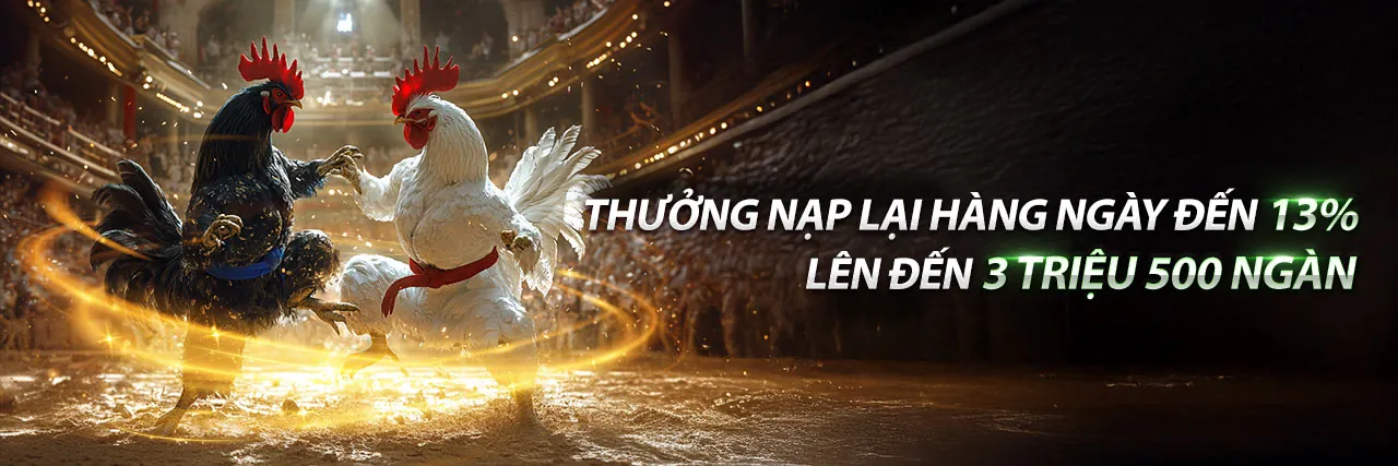 Sân vận động với người hâm mộ cuồng nhiệt và các môn thể thao, biểu tượng của 79clubs nhà cái