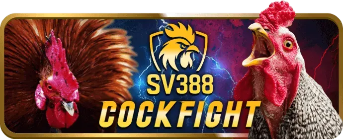 Nổ hũ hàng ngày: Bí quyết săn Jackpot triệu đô